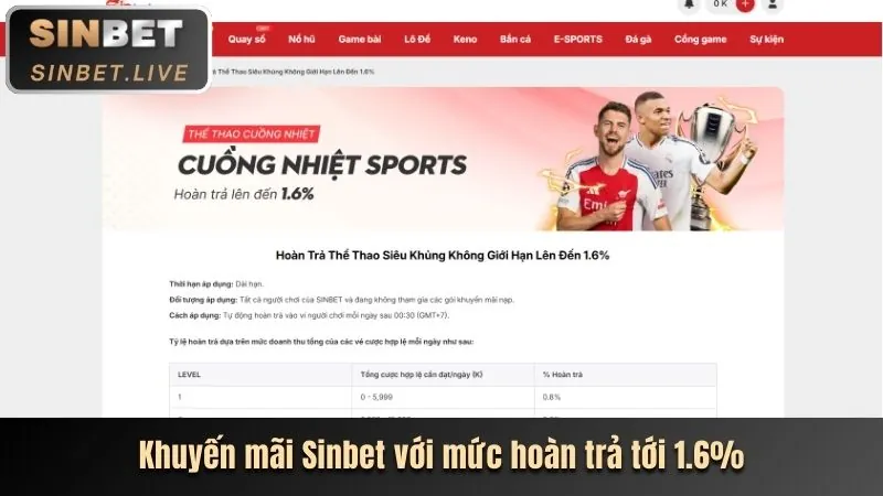 Cá cược quần vợt tại bet8s link mới